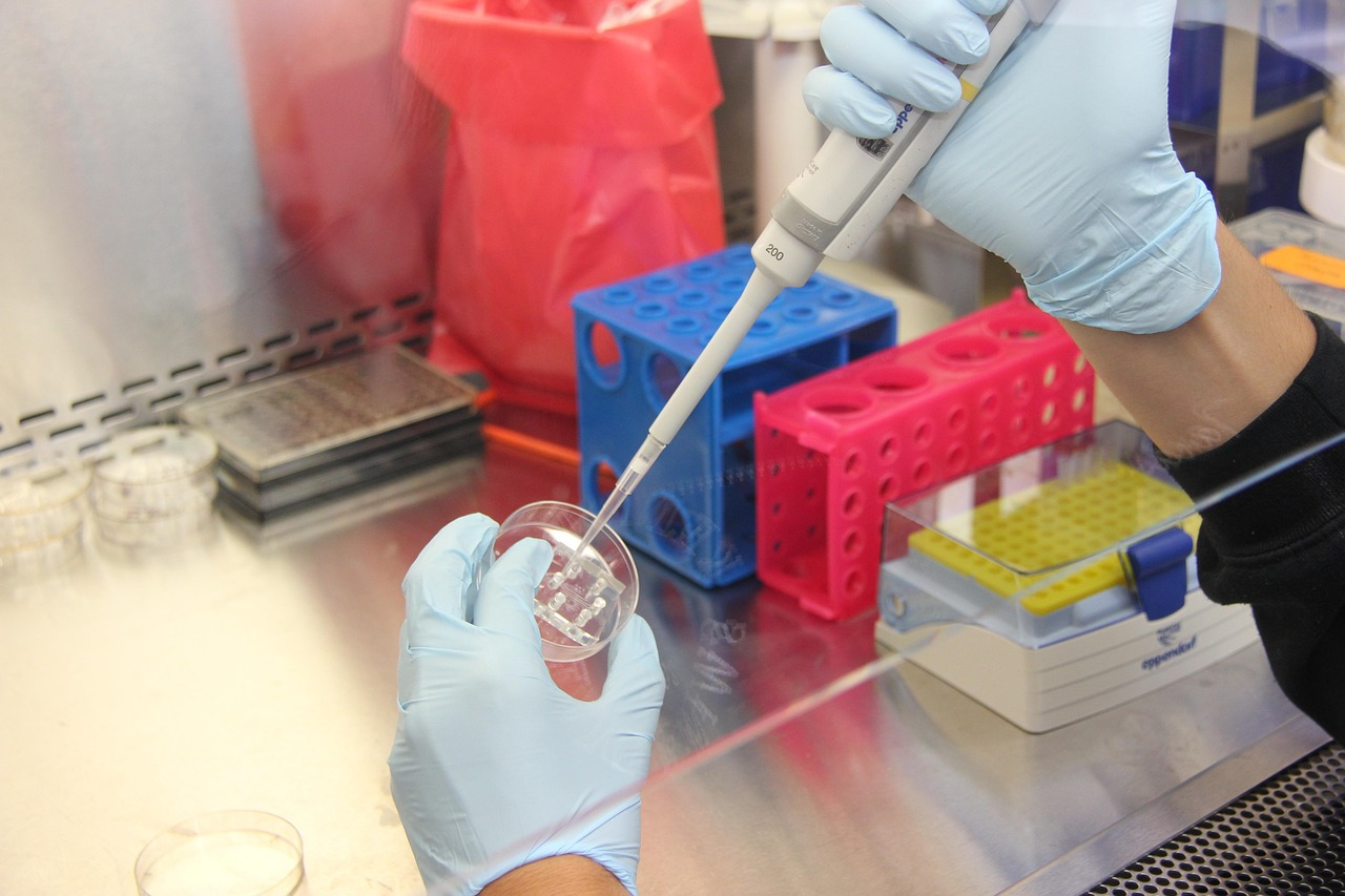 Kinetic Chromogenic Endotoxin Test Kit (LAL/TAL Assay): A High-Sensitivity, High-Efficiency Industry-Preferred Solution