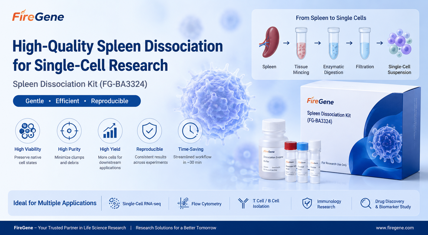 Spleen Dissociation Kit for Single-Cell Research: Why High-Quality Tissue Processing Determines Your Sequencing Success