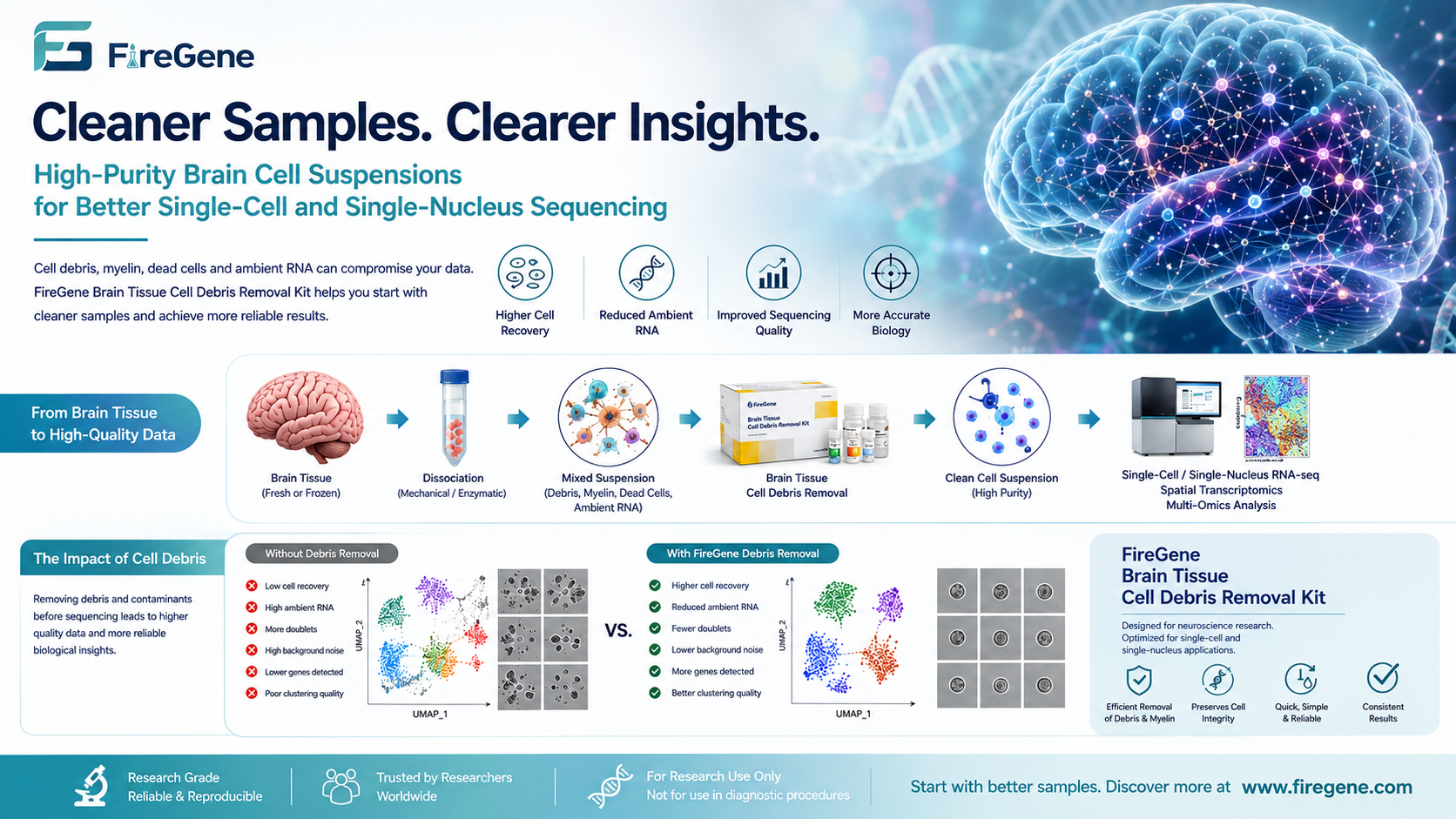 Why Brain Cell Debris Removal Is Becoming the Hidden Determinant of High-Quality Single-Cell and Single-Nucleus Sequencing Data