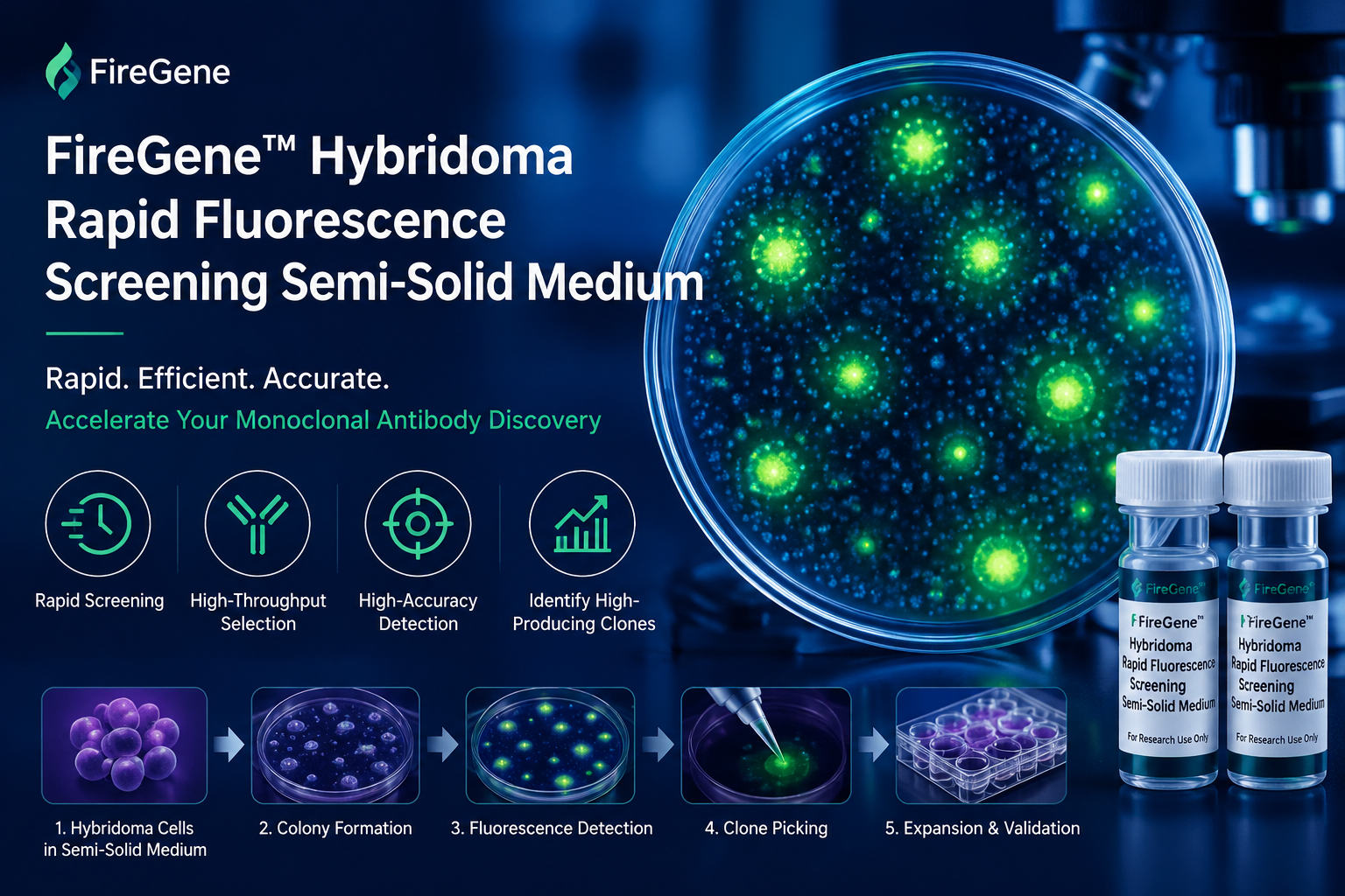 FireGene™ Hybridoma Rapid Fluorescence Screening Semi-Solid Medium: Revolutionizing Monoclonal Antibody Discovery