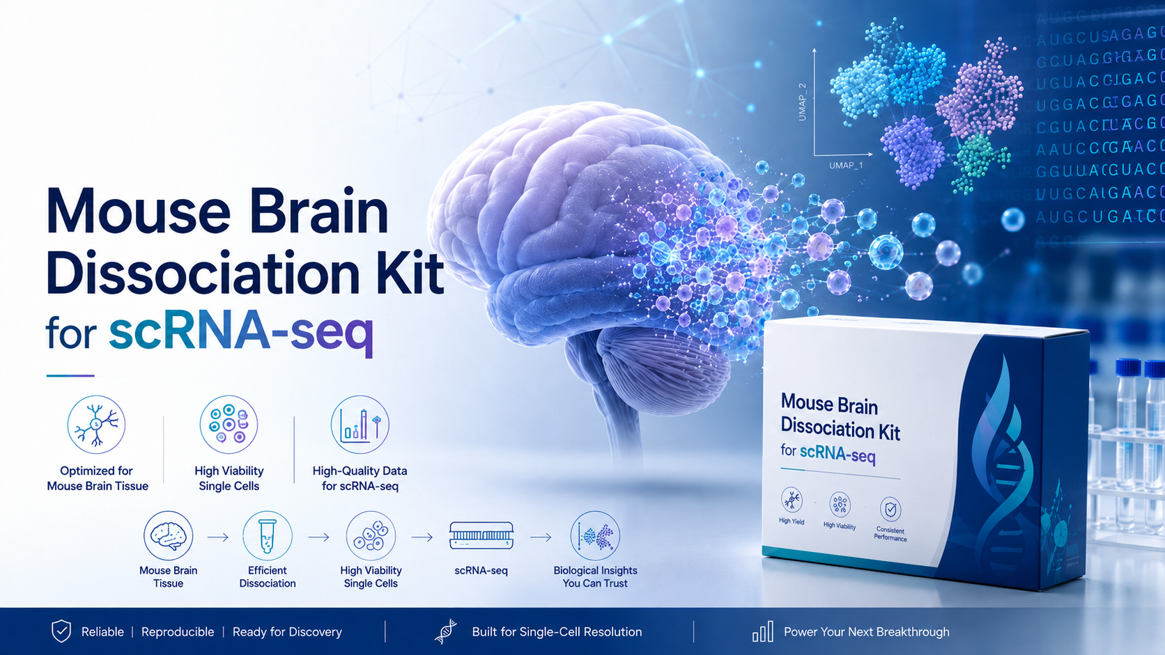 FireGene Mouse Brain Dissociation Kit for scRNA-seq: Reliable Sample Preparation for Single-Cell Neuroscience Research