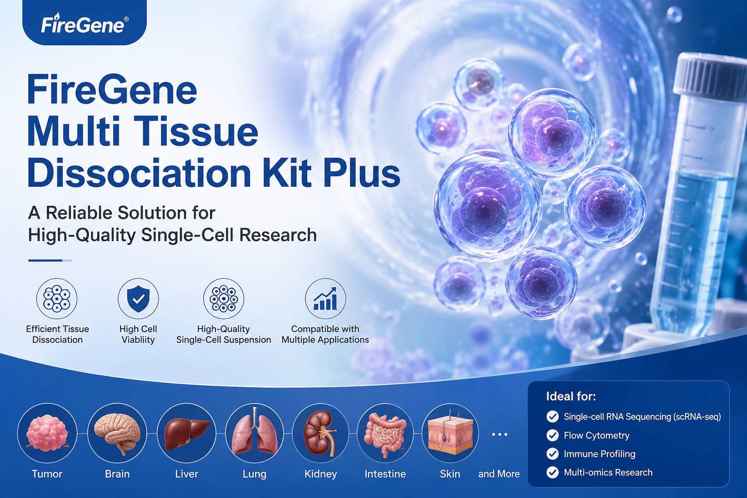 FireGene Multi Tissue Dissociation Kit Plus for Single-Cell Preparation: A Reliable Solution for High-Quality Single-Cell Research