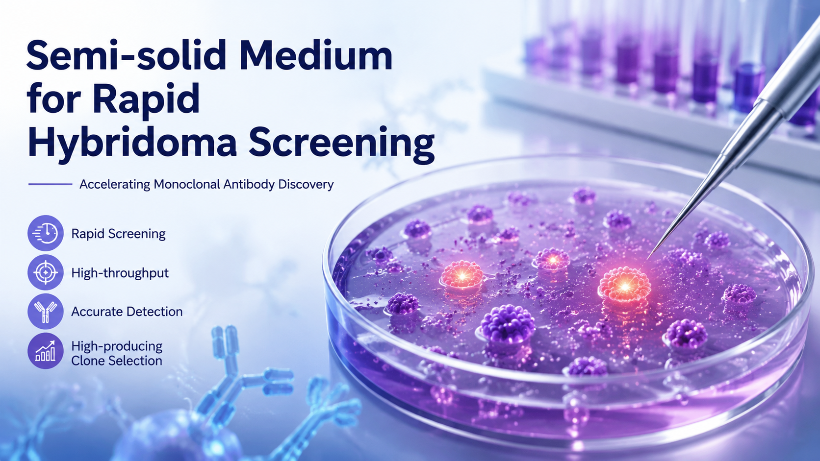 Semi-solid Medium for Rapid Hybridoma Screening: Accelerating Monoclonal Antibody Discovery