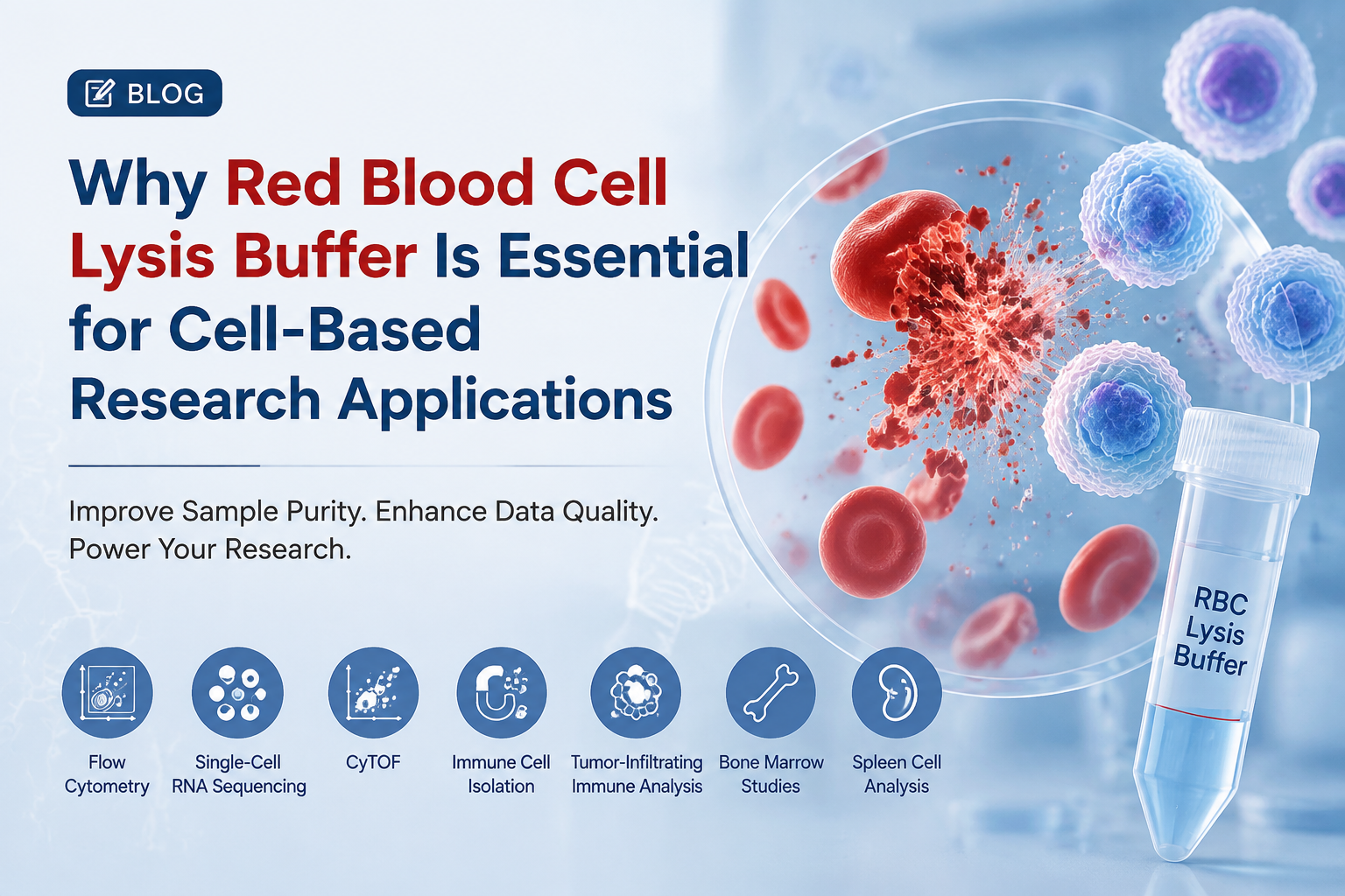 Why Red Blood Cell Lysis Buffer Is Essential for Cell-Based Research Applications