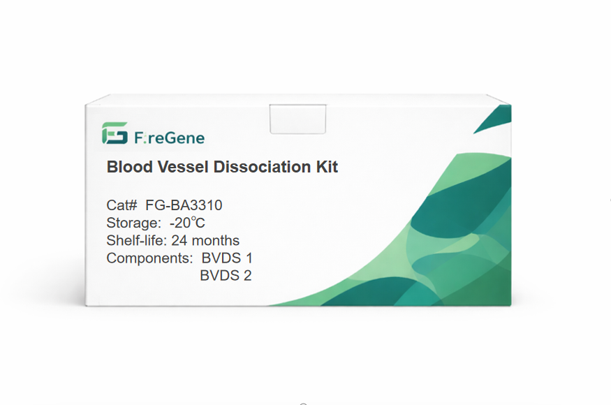 FireGene Blood Vessel Dissociation Kit for Single-Cell Applications
