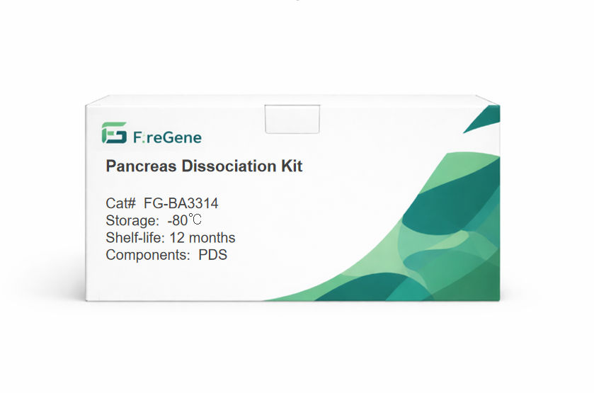 FireGene Pancreas Dissociation Kit - High-Fidelity Enzymatic Digestion