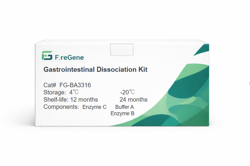 FireGene Gastrointestinal Dissociation Kit - Gut Cell Isolation