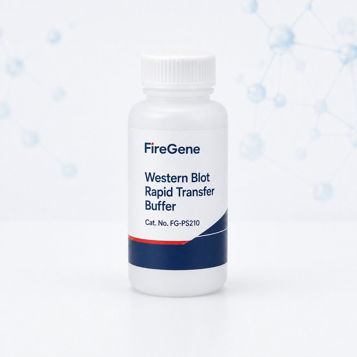 Western Blot Rapid Transfer Buffer(10×)