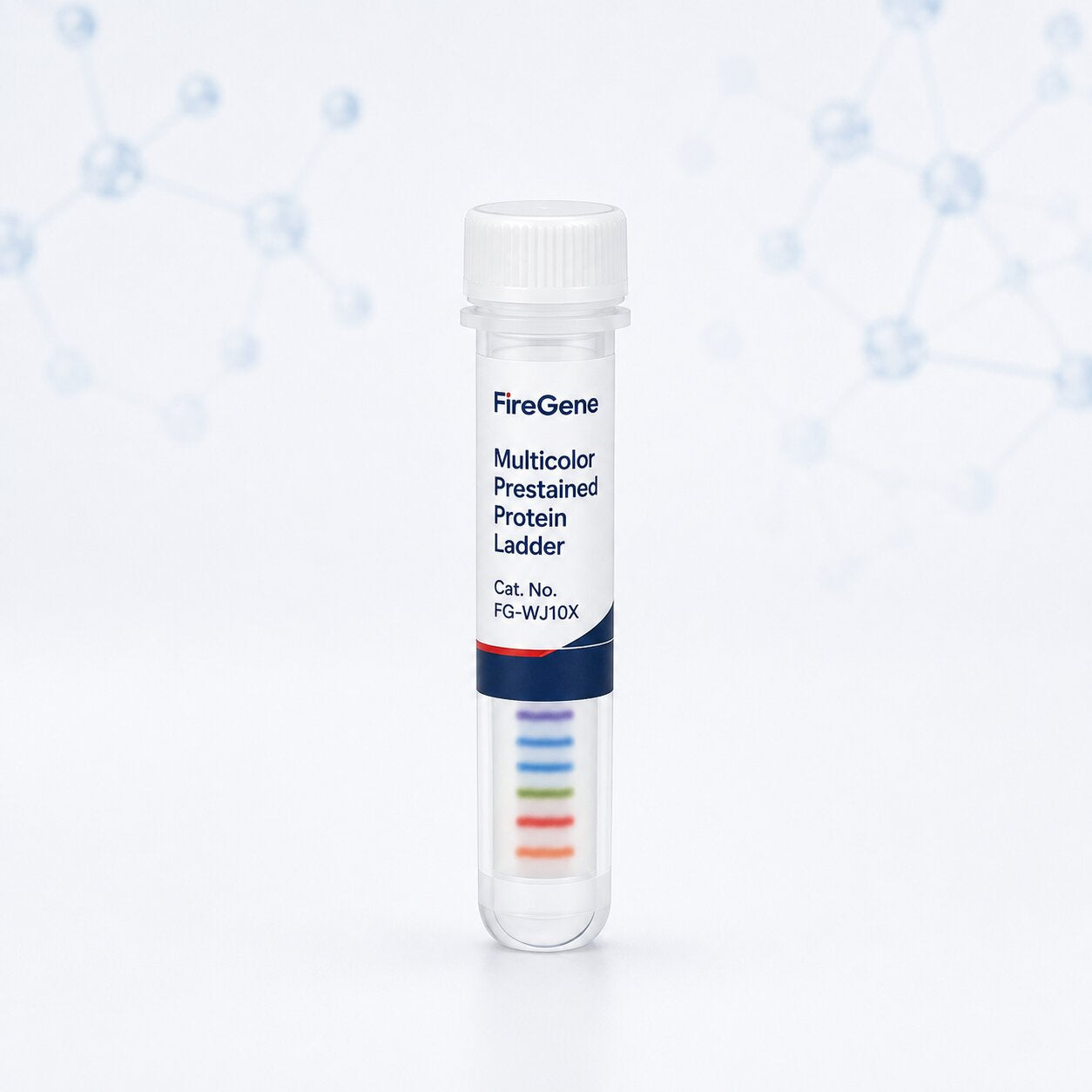Multicolor Prestained Protein Ladder