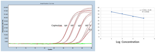 FireGene COVID-19 Nucleic Acid Detection Kit (Real Time RT-PCR Method)