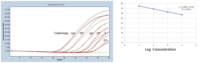 FireGene COVID-19 Nucleic Acid Detection Kit (Real Time RT-PCR Method)