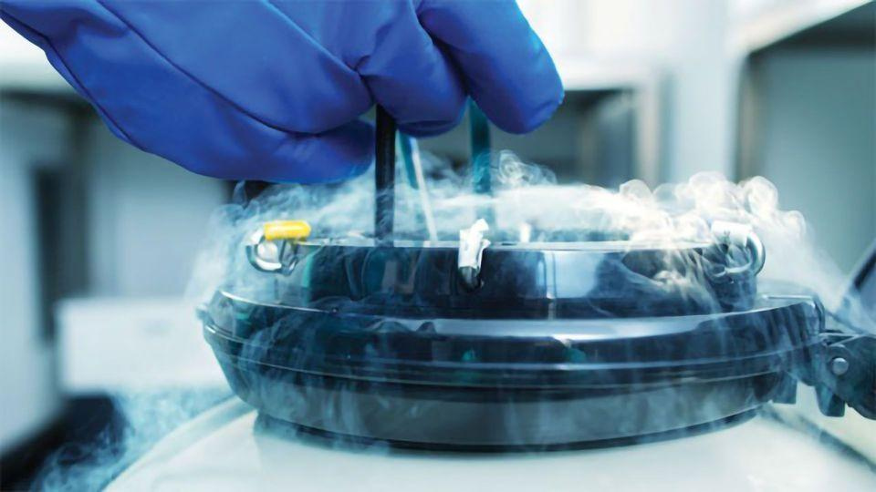 Best Cryopreservation Media for Laboratories | Reliable Cell Freezing Kit Supplier for Research Purchase