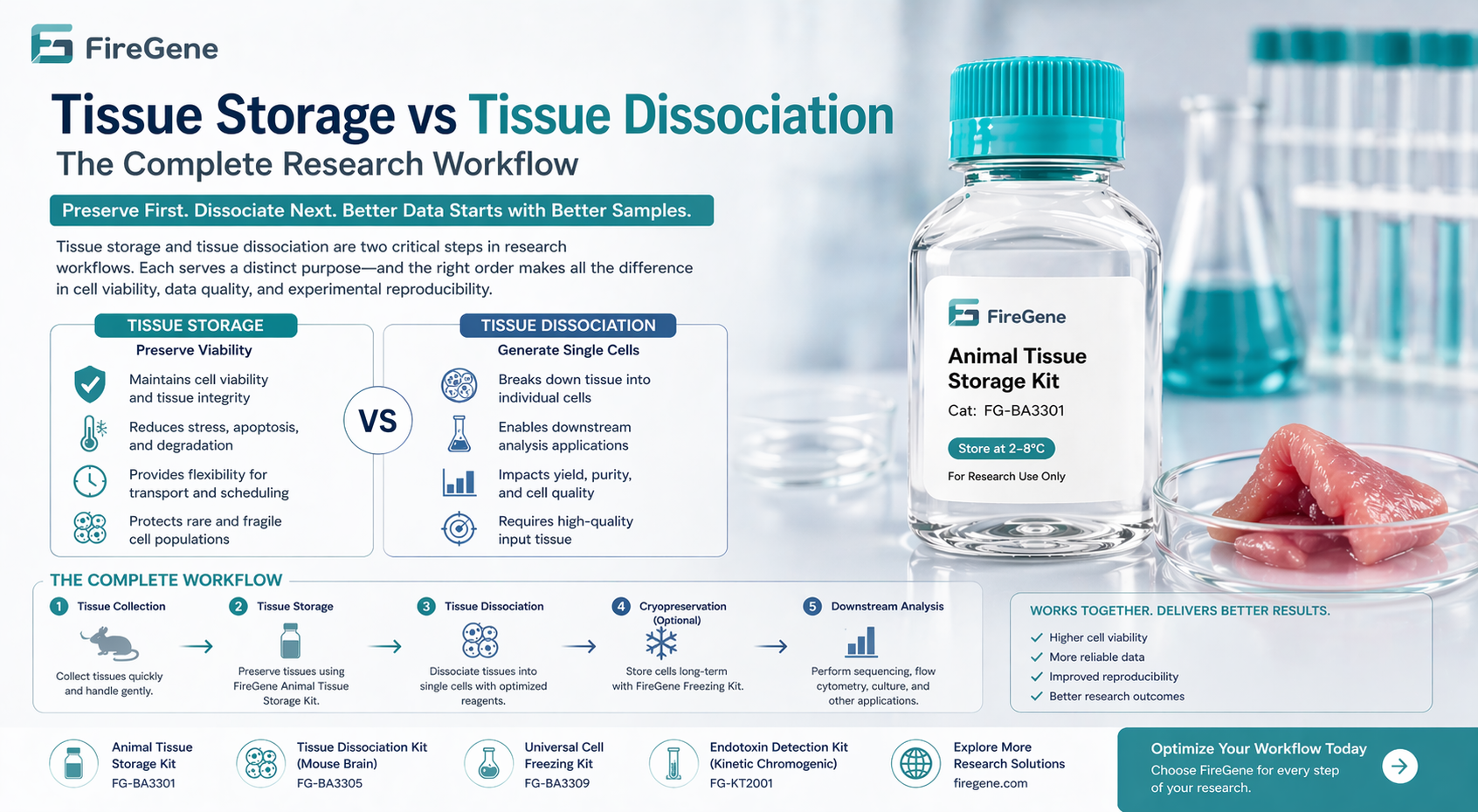 Tissue Storage vs Tissue Dissociation: Understanding the Complete Research Workflow