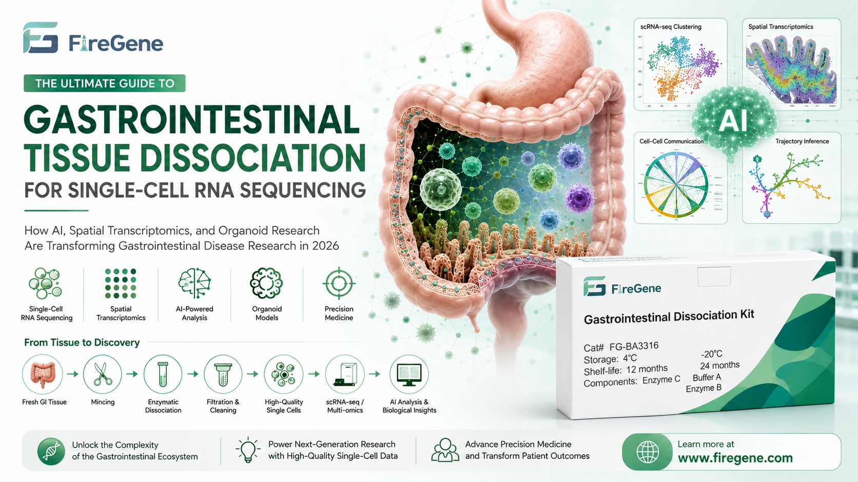 The Ultimate Guide to Gastrointestinal Tissue Dissociation for Single-Cell RNA Sequencing: How AI, Spatial Transcriptomics, and Organoid Research Are Transforming Gastrointestinal Disease Research in 2026