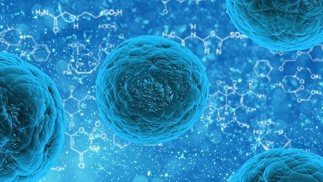Practical Exploration of Endotoxin Limit Detection in Biologics: Detection Examples of Various Biologics