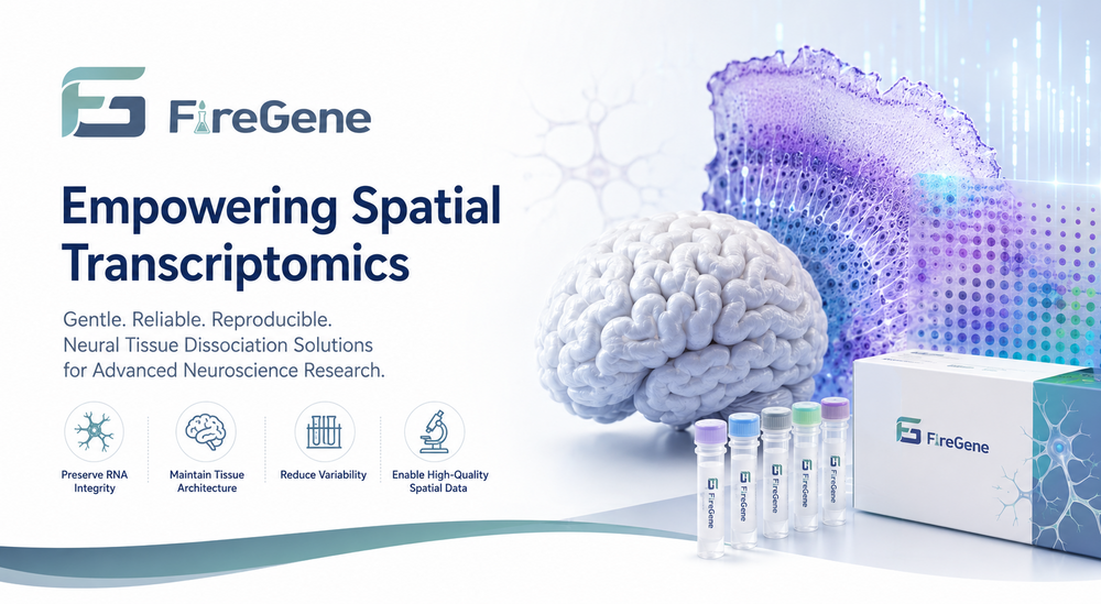 Neural Tissue Preparation for Spatial Transcriptomics | Human Brain Di