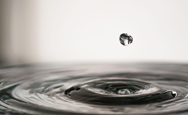 Application of Pyrogen-free Water in Water Treatment
