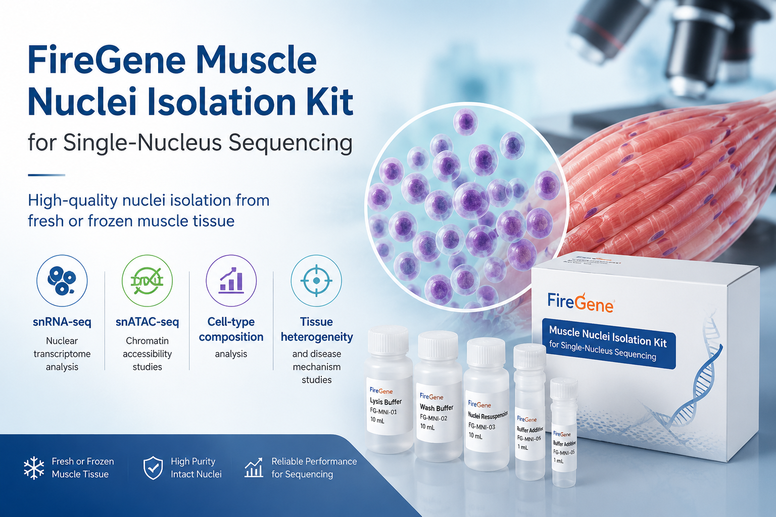 FireGene Muscle Nuclei Isolation Kit for Single-Nucleus Sequencing