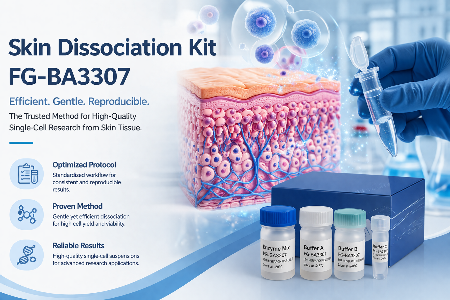 FireGene Skin Dissociation Kit (FG-BA3307): A Complete Guide to Efficient Skin Tissue Dissociation for Single-Cell Research