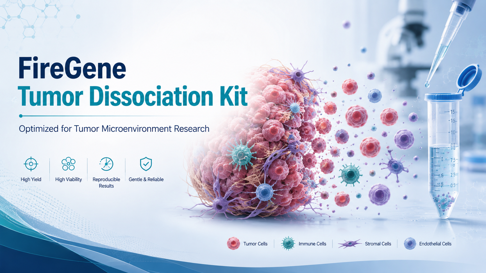 FireGene Tumor Dissociation Kit: Optimized Sample Preparation for Tumor Microenvironment Research
