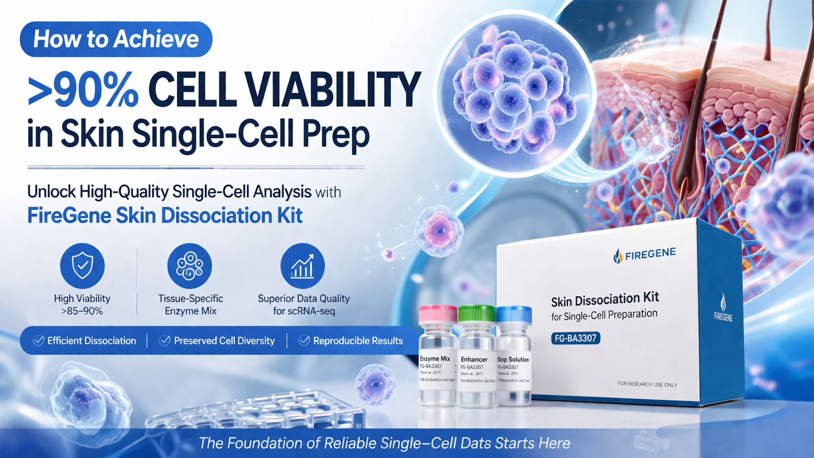 How to Achieve >90% Cell Viability in Skin Single-Cell Prep