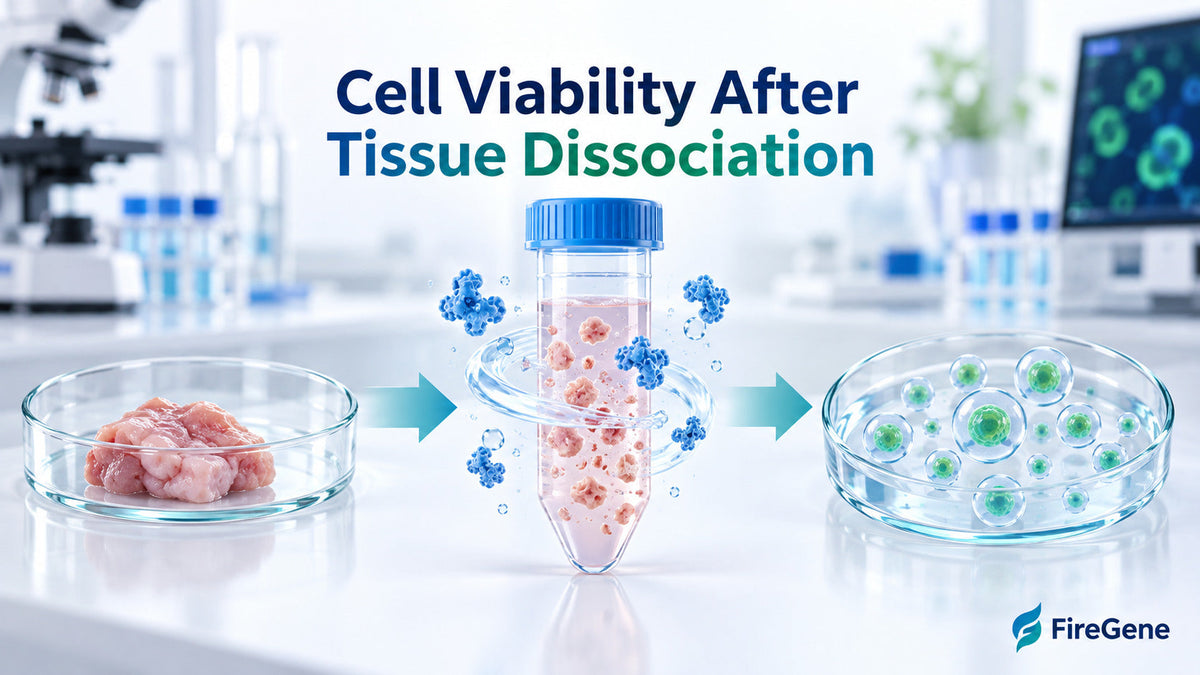 tissue dissociation guide
