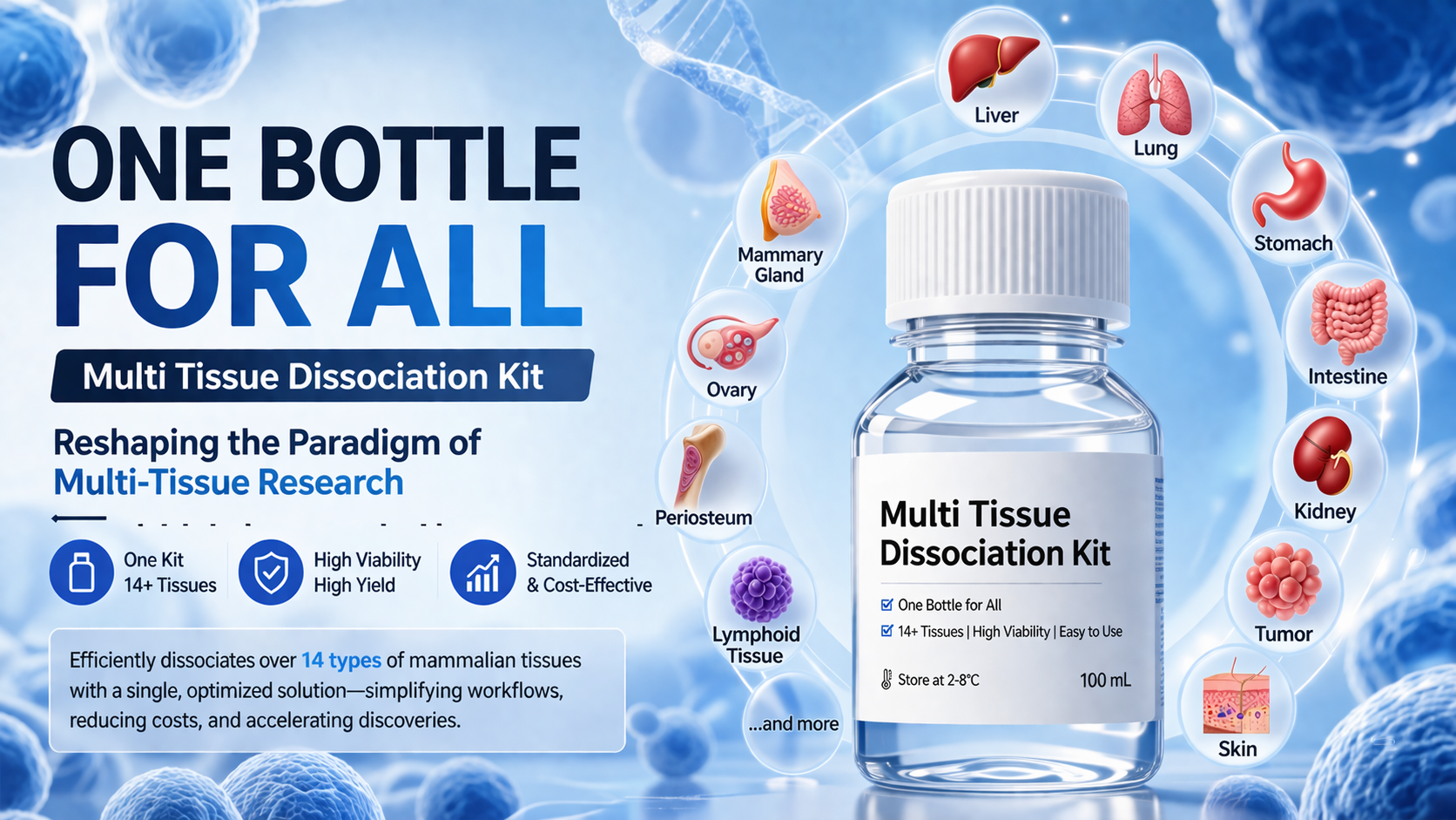 One Bottle for All: FireGene Multi Tissue Dissociation Kit—Reshaping the Paradigm of Multi-Tissue Research