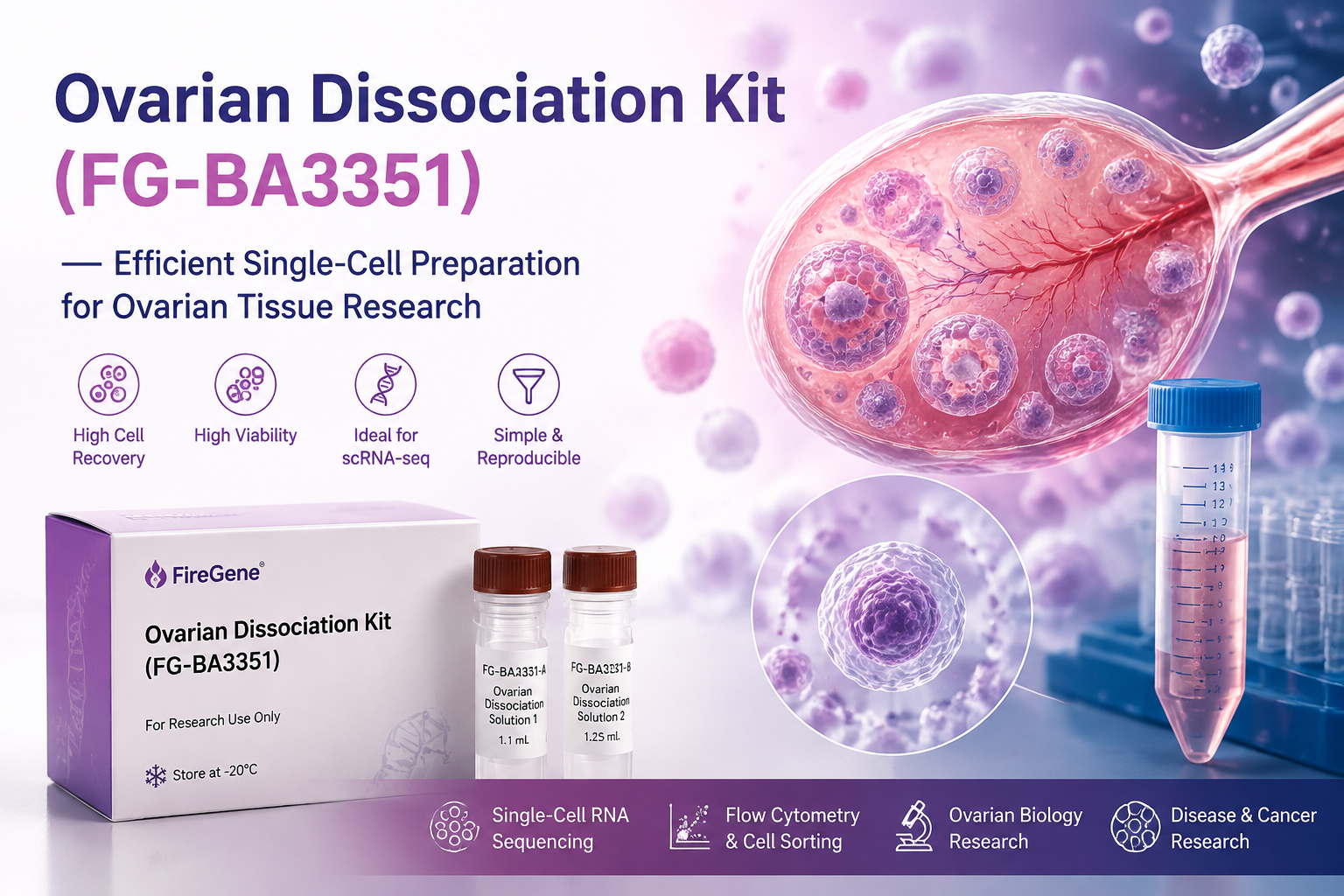 Ovarian Dissociation Kit (FG-BA3351): Efficient Single-Cell Preparation for Ovarian Tissue Research and scRNA-seq Applications