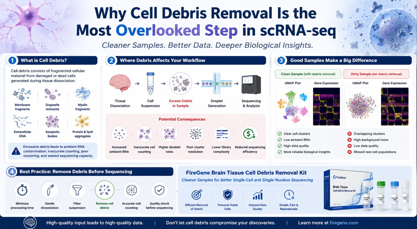 Why Cell Debris Removal Is the Most Overlooked Step in Single-Cell RNA Sequencing