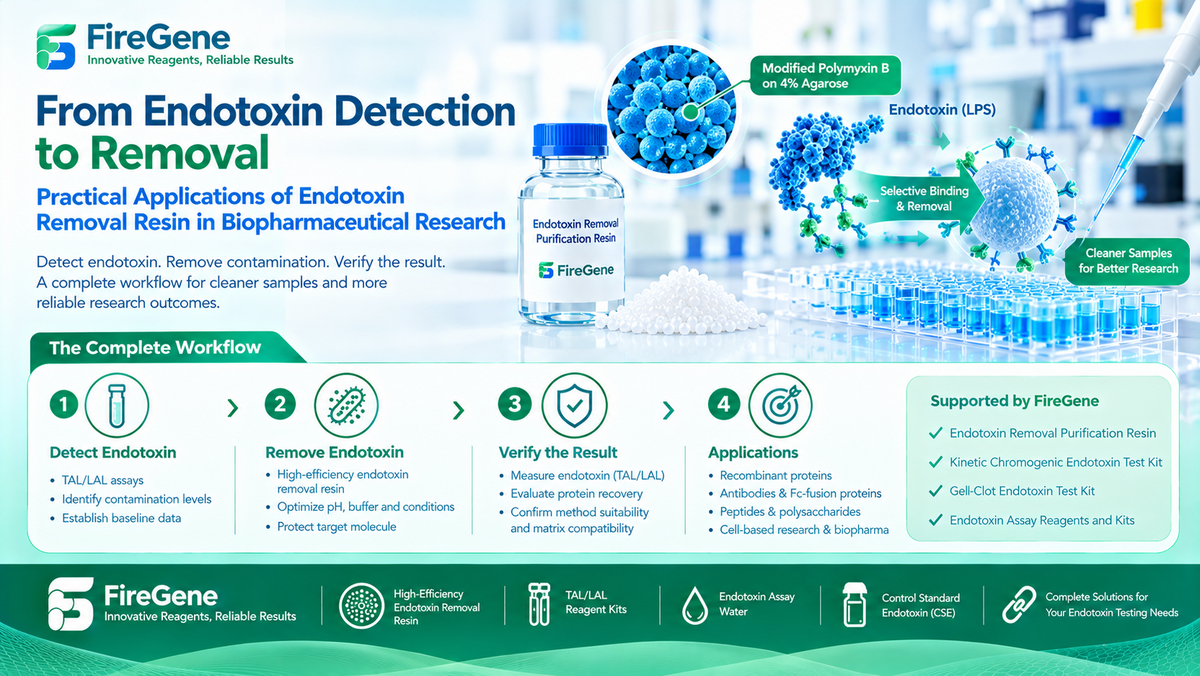 From Endotoxin Detection to Removal: Practical Applications of Endotoxin Removal Resin in Biopharmaceutical Research