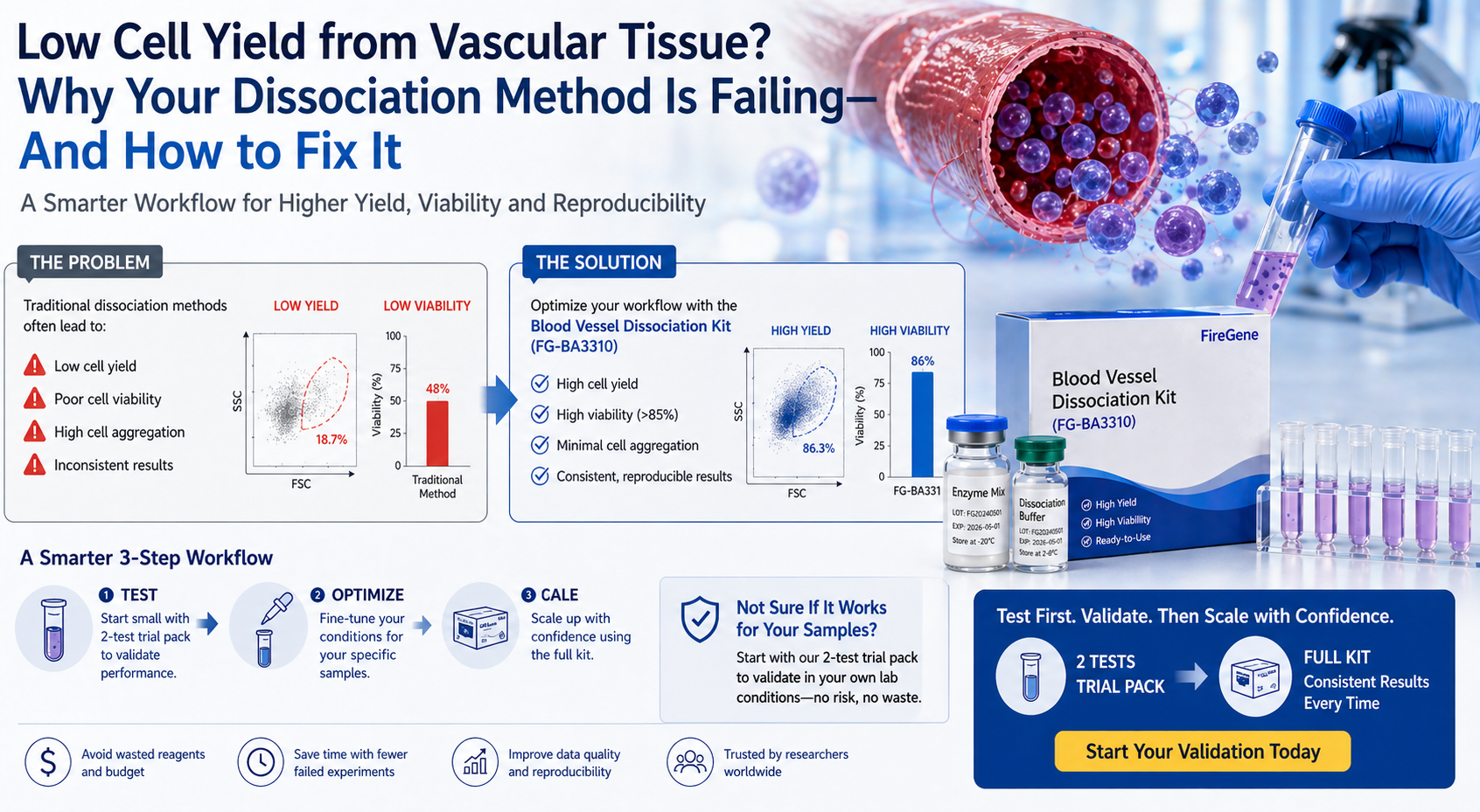 Why Your Vascular Tissue Dissociation Fails—and How to Fix It with a Smarter Workflow