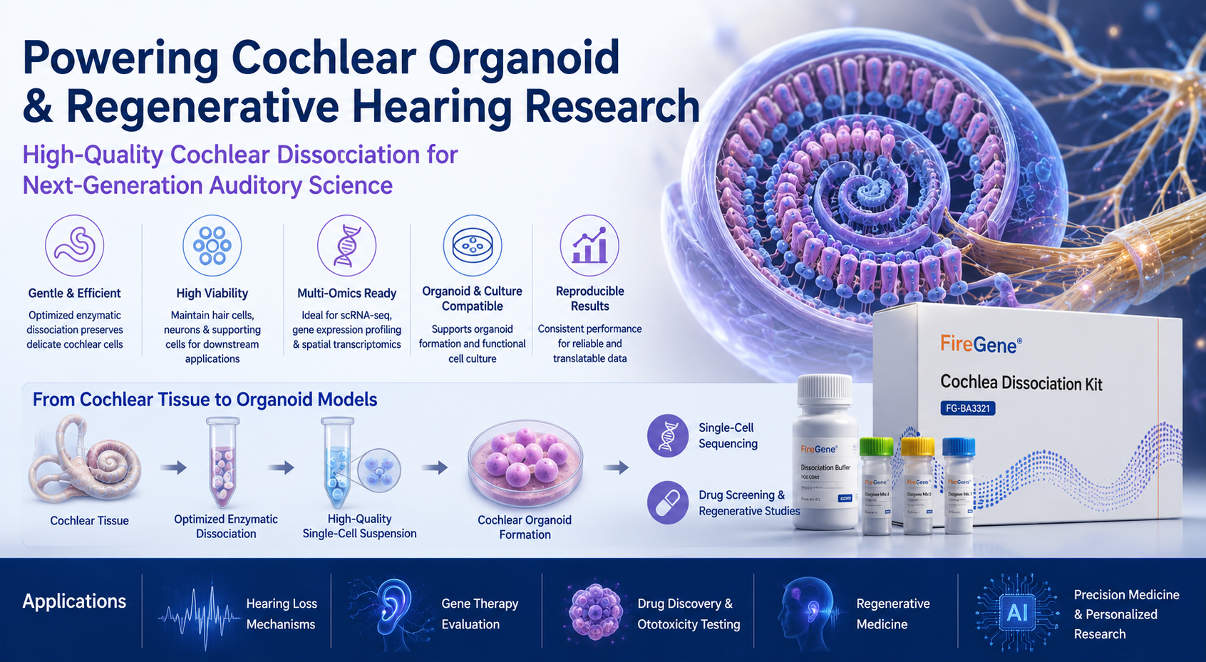 Cochlear Organoids, Regenerative Medicine, and the Importance of Gentle Cell Dissociation