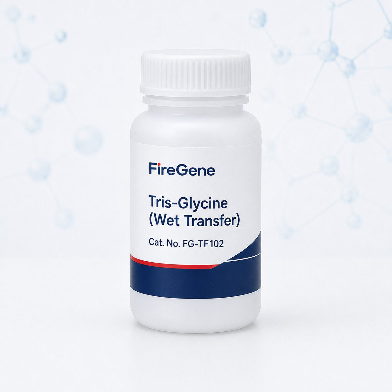 Tris-Glycine (Wet Transfer)