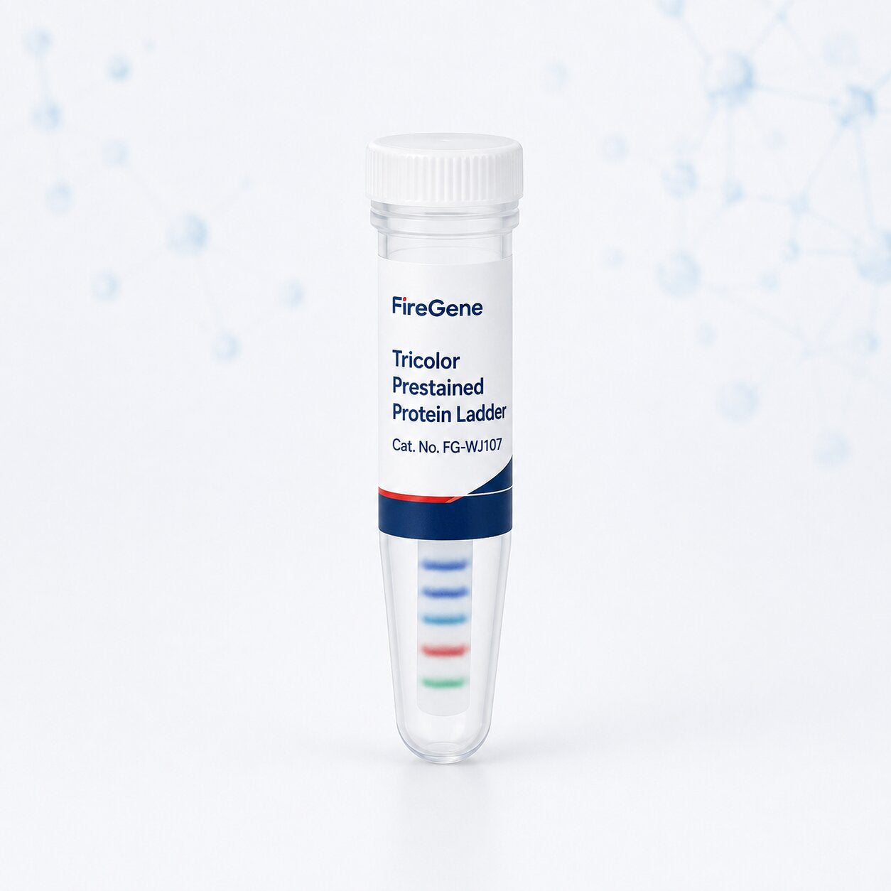 Tricolor Prestained Protein Ladder