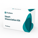 FireGene Heart Dissociation Kit – Cardiomyocyte-Ready
