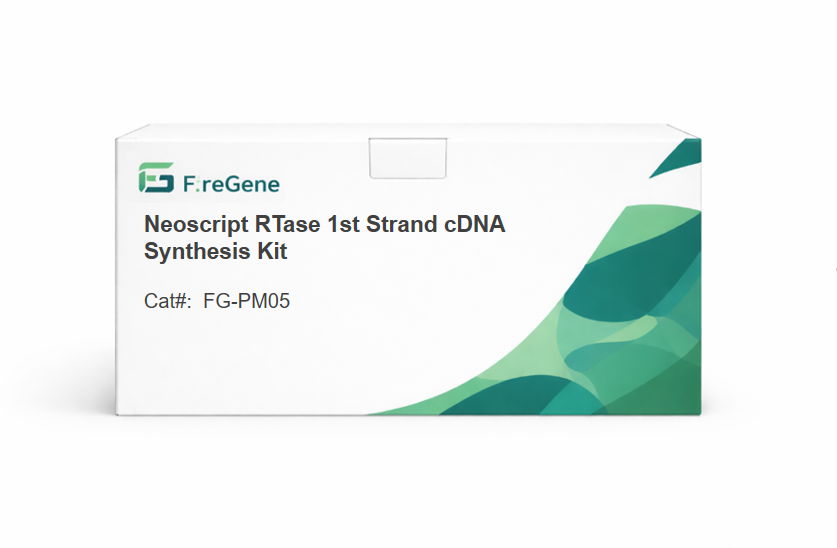 FireGene Neoscript RTase 1st Strand cDNA Synthesis Kit PM05 packaging