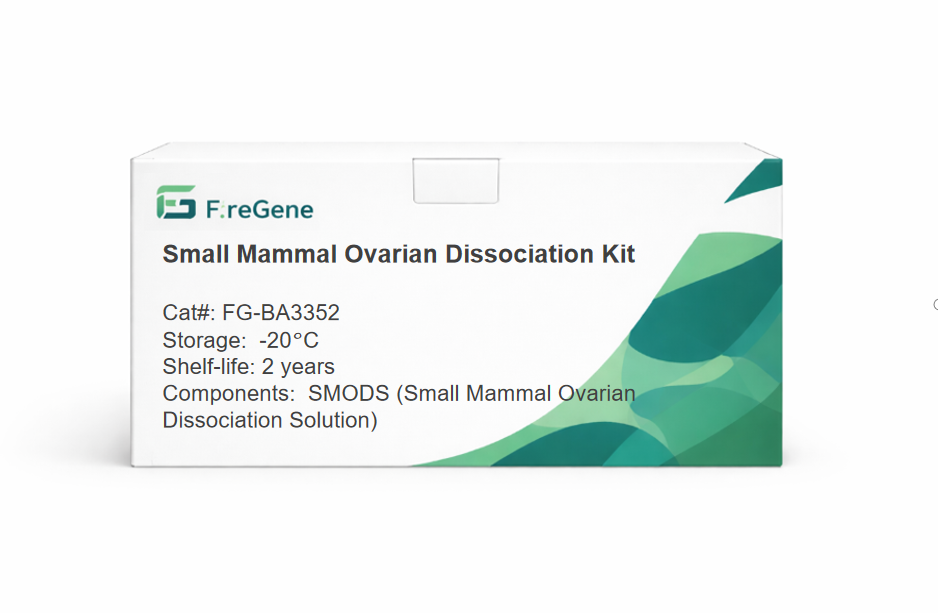 FireGene small mammal ovarian dissociation kit FG-BA3352 for mouse rat ovarian tissue scRNA-seq
