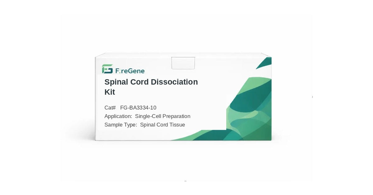 FireGene Spinal Cord Dissociation Kit for Single-Cell Preparation