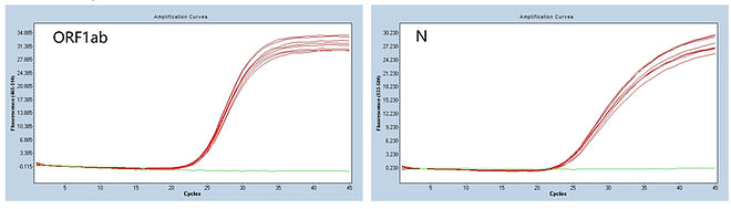 FireGene COVID-19 Nucleic Acid Detection Kit (Real Time RT-PCR Method)