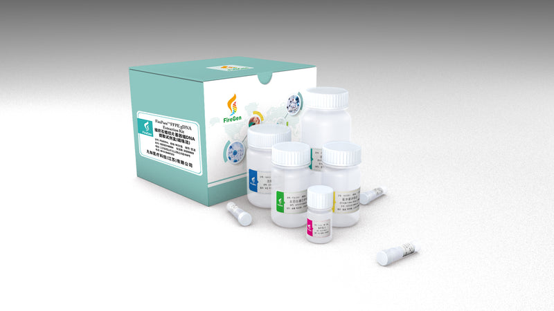 FireGene FFPE gDNA Extraction Kit