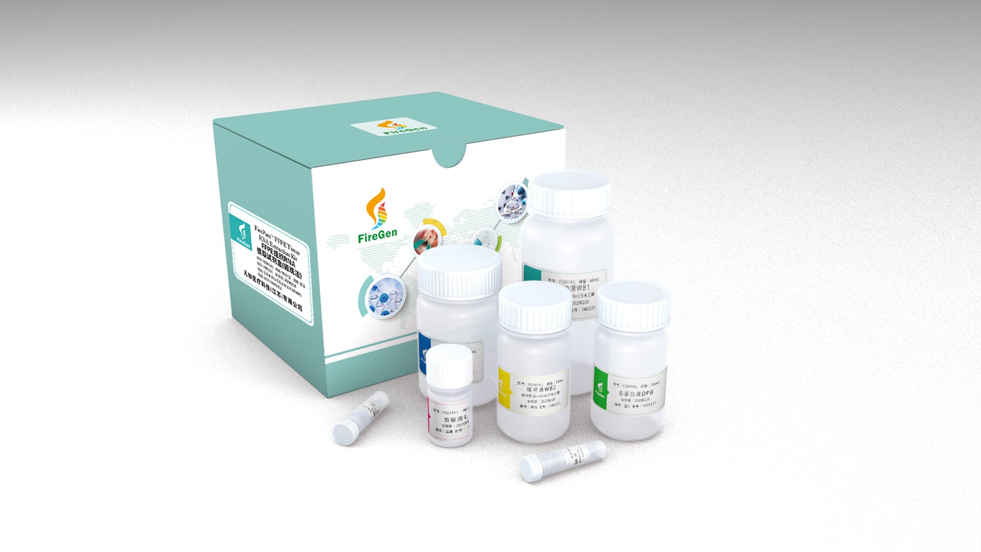 FireGene FFPE RNA Extraction Kit