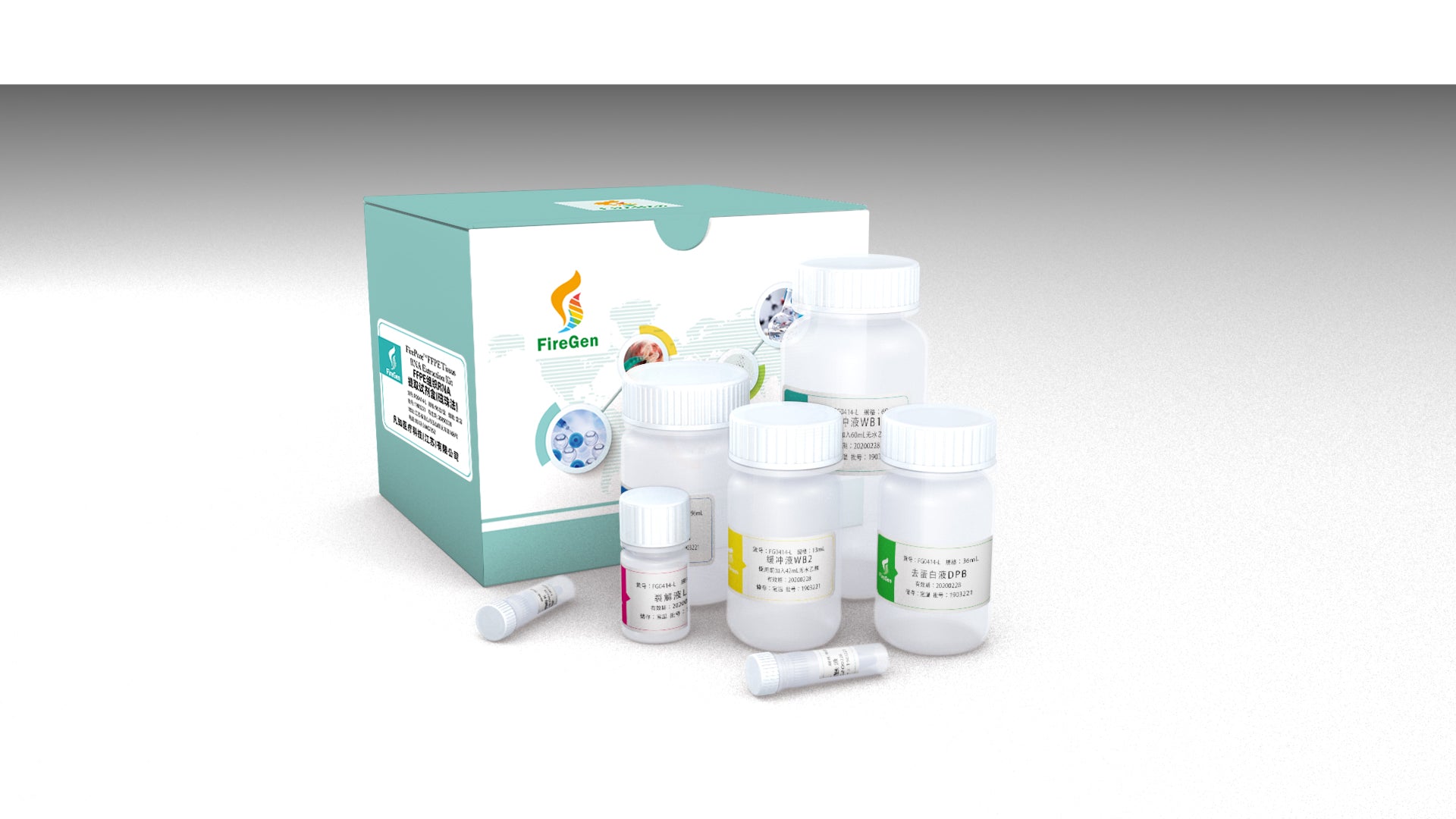 FireGene FFPE RNA Extraction Kit