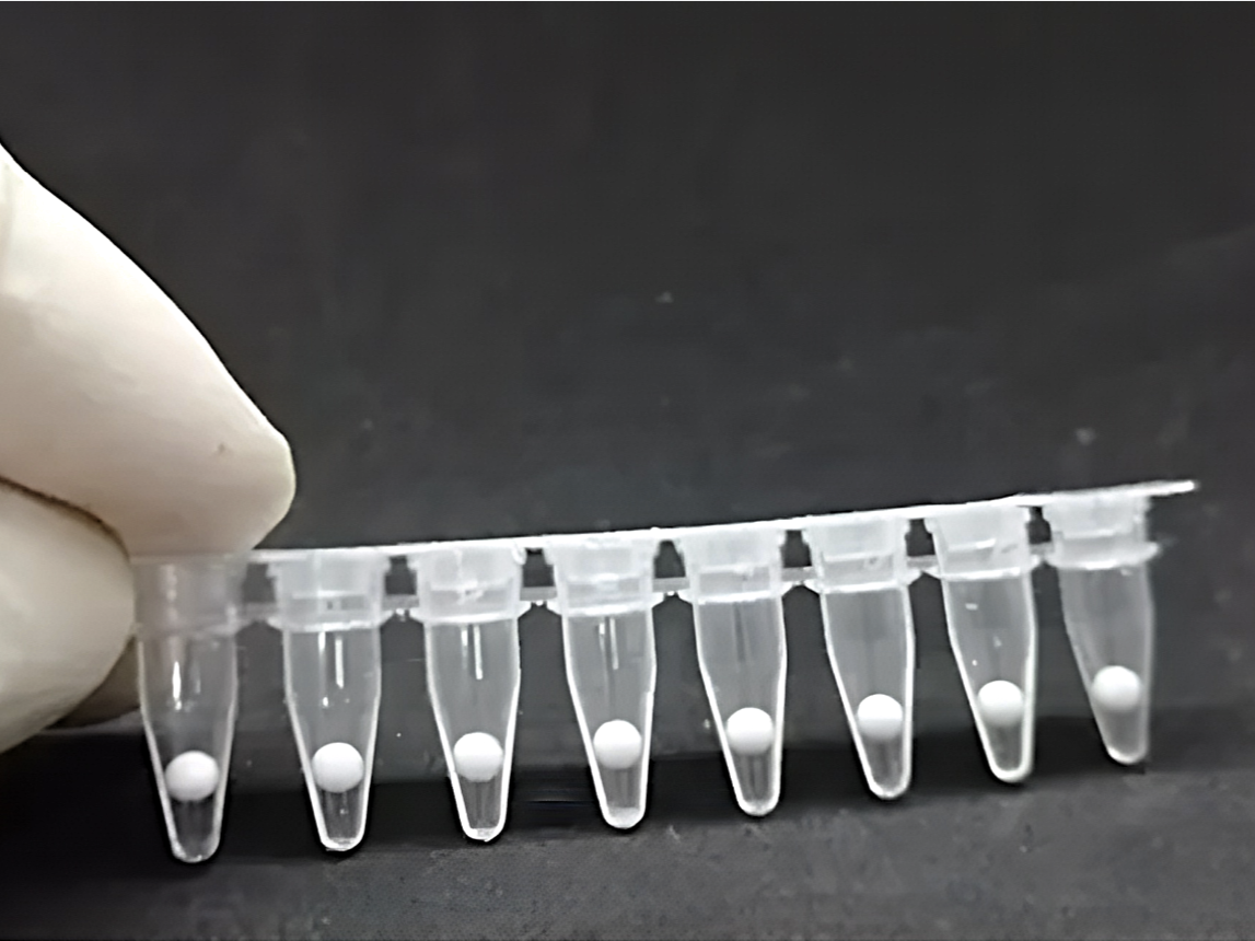 Monkeypox Virus (MPXV) Nucleic Acid Detection Kit (RT-PCR) - CE Certified