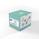 FireGene Viral DNA/RNA Isolation Kit